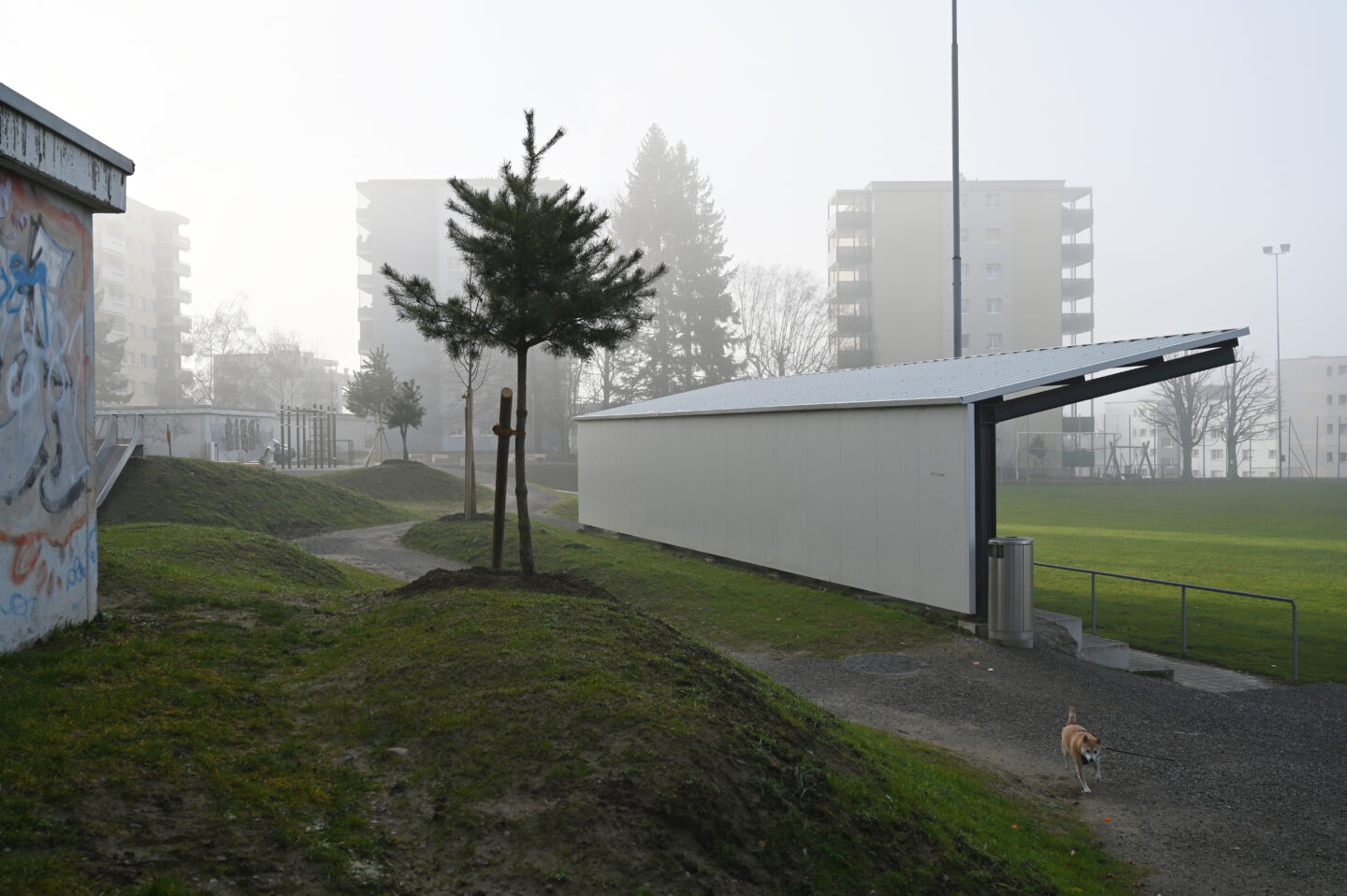 258 2020 01 13 oeffentl park autour du foot fribourg 2